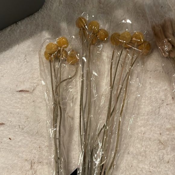 Pampas Big lot of flowers pampas - Picture 2 of 4